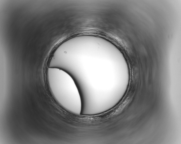 X0000096461405200801241109