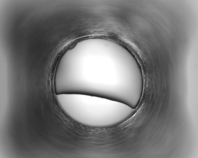 X0000096461407200801241109
