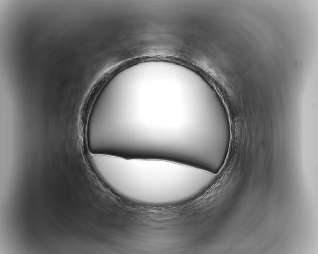 X0000096461408200801241109