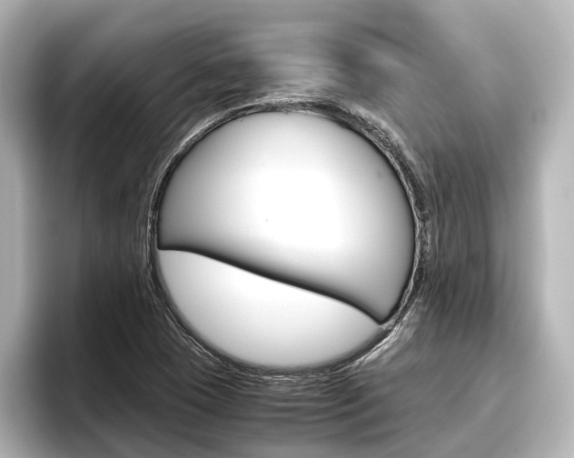 X0000096461409200801241109