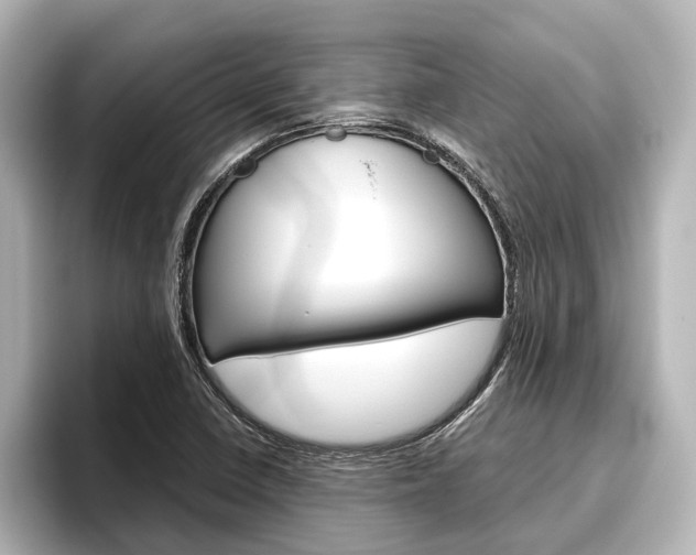 X0000096461410200801241109