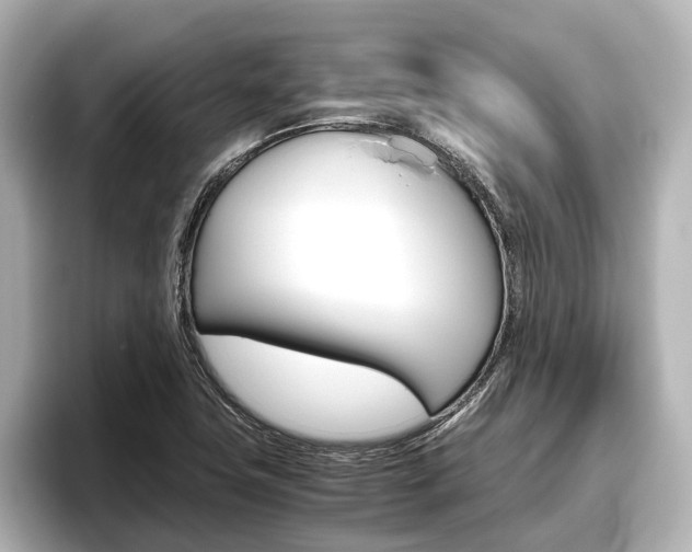 X0000096461411200801241109