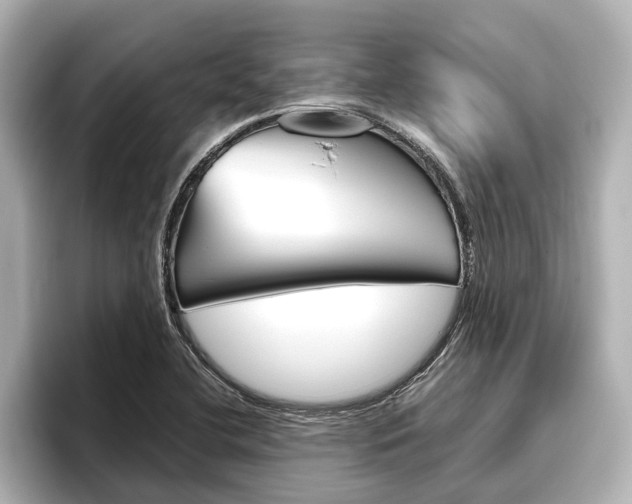 X0000096461412200801241109