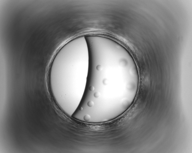 X0000096461413200801241109