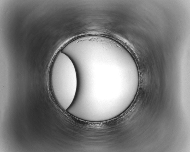 X0000096461415200801241109