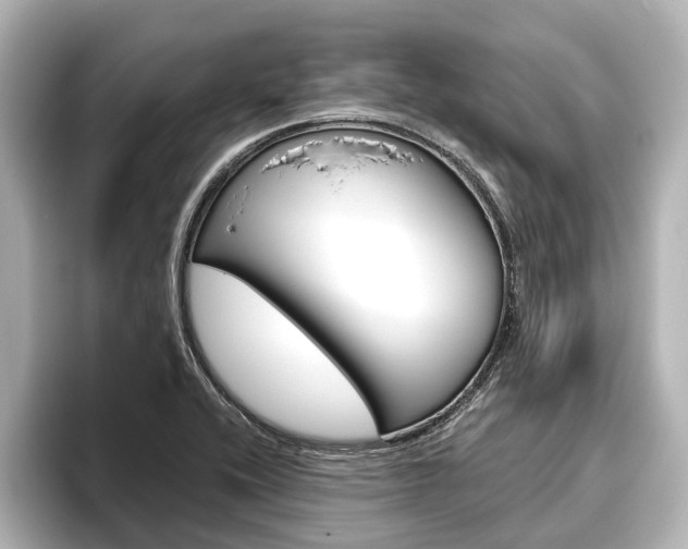 X0000096461416200801241109