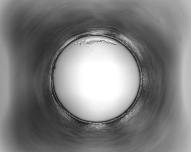 X0000096461417200801241109