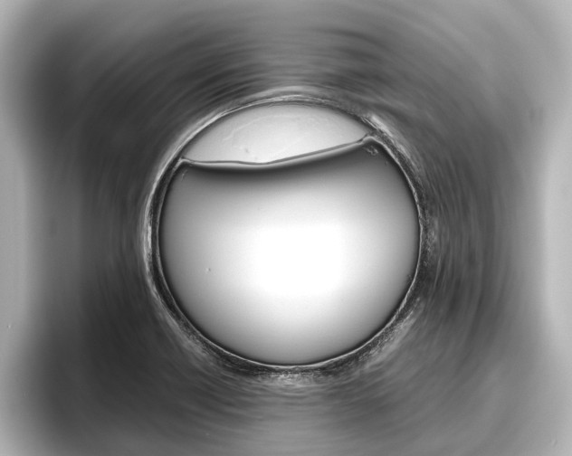 X0000096461418200801241109