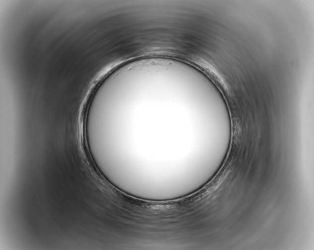 X0000096461419200801241109