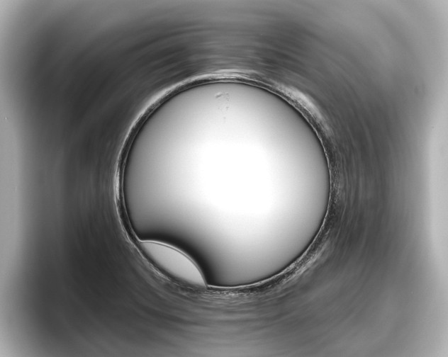 X0000096461420200801241109