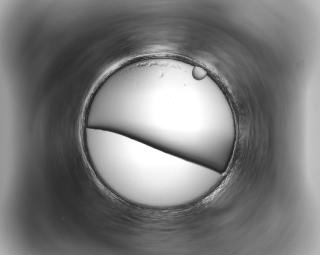 X0000096461421200801241109