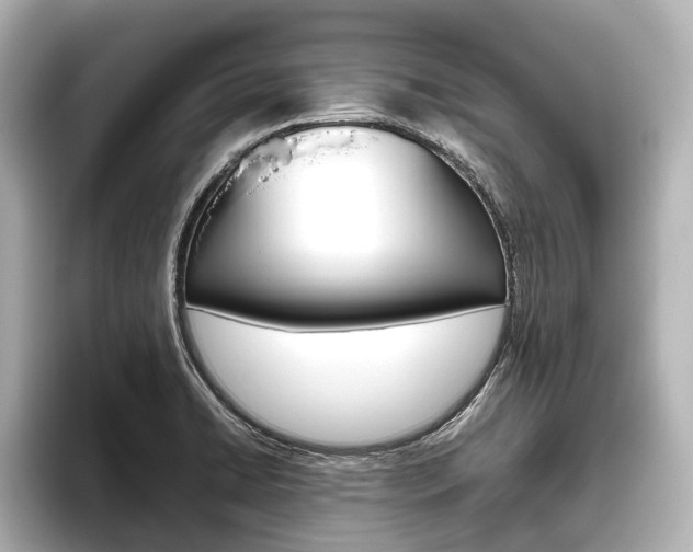 X0000096461422200801241109
