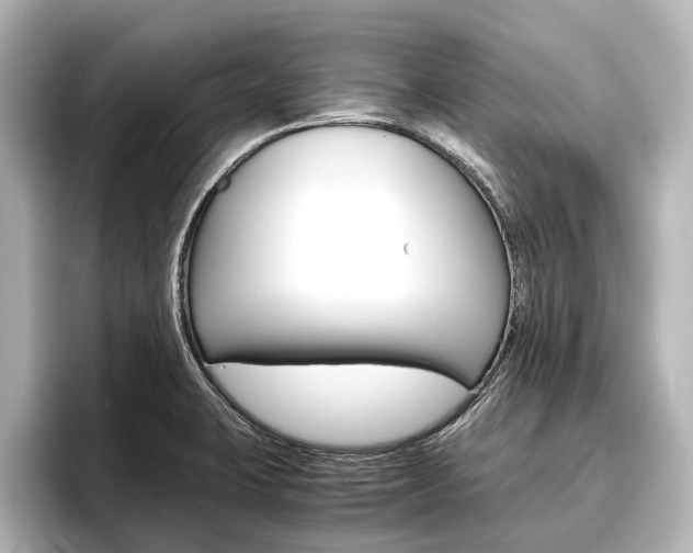 X0000096461423200801241109