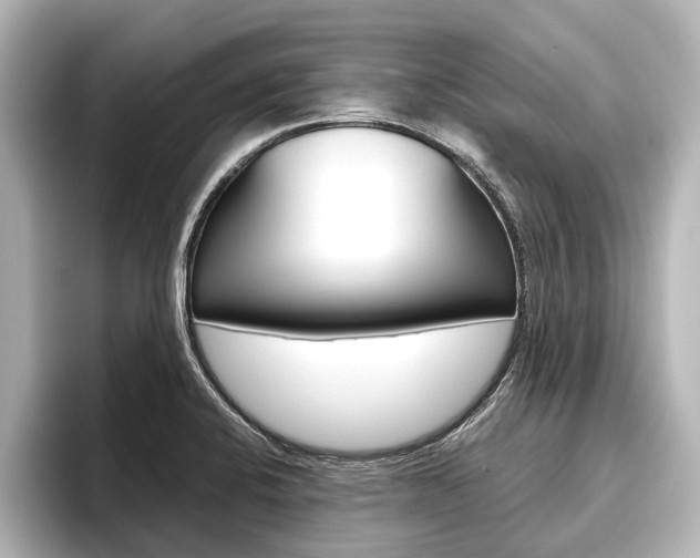 X0000096461424200801241109