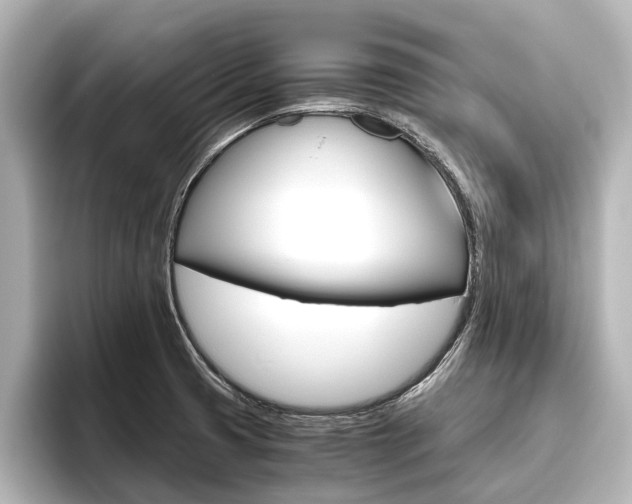 X0000096461425200801241109