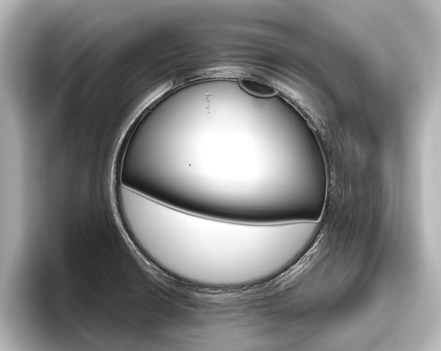 X0000096461426200801241109