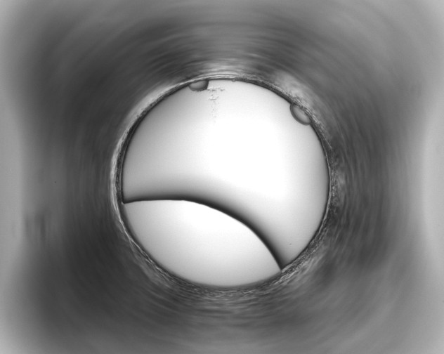 X0000096461427200801241109