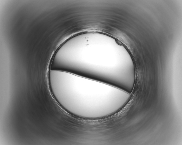 X0000096461428200801241109