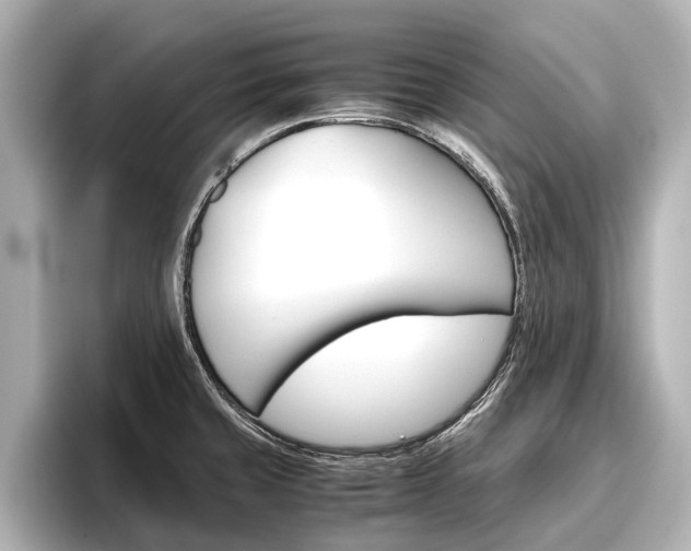 X0000096461429200801241109