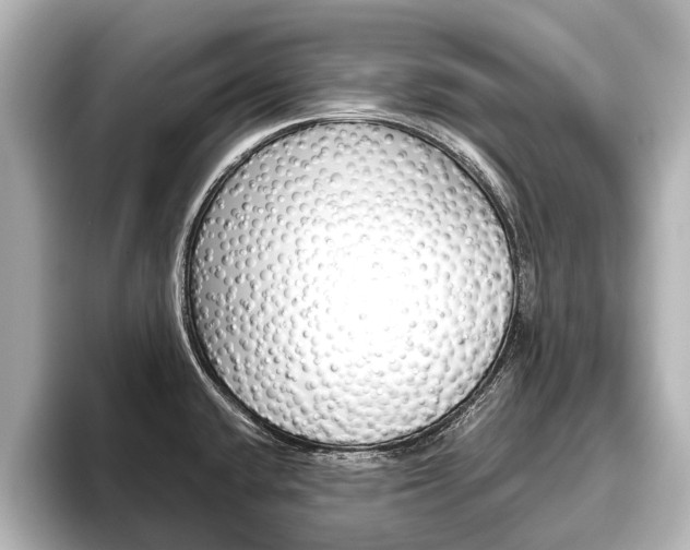 X0000096461432200801241109
