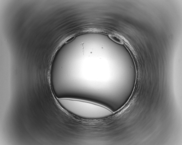 X0000096461433200801241109