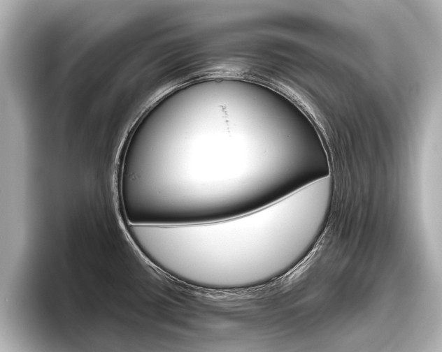 X0000096461434200801241109