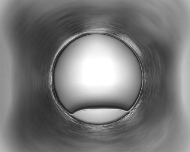 X0000096461436200801241109