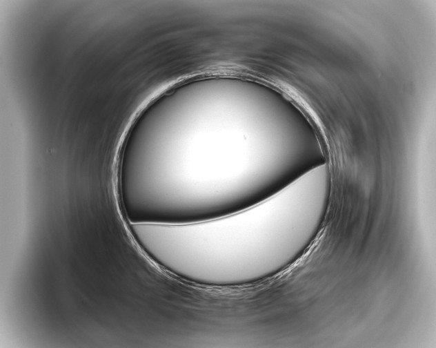 X0000096461437200801241109