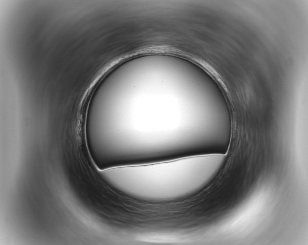 X0000096461438200801241109