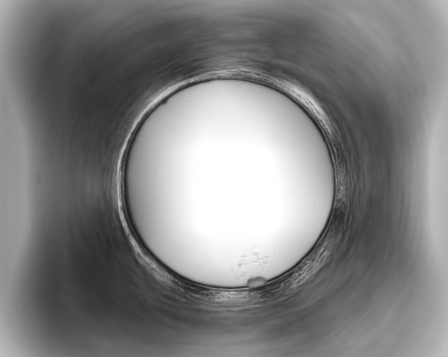X0000096461439200801241109