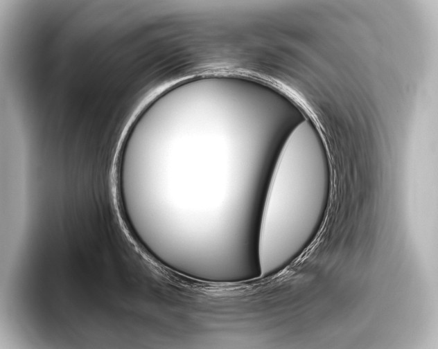 X0000096461440200801241109