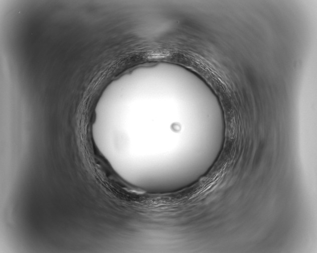 X0000096461441200801241108