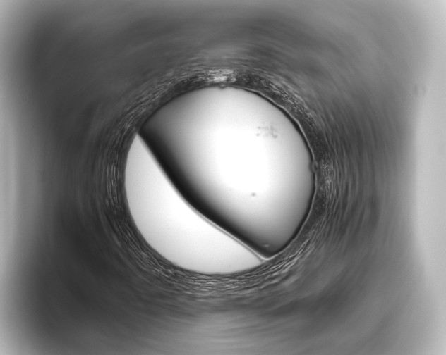 X0000096461442200801241108
