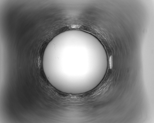 X0000096461443200801241108