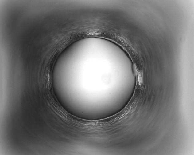 X0000096461444200801241108