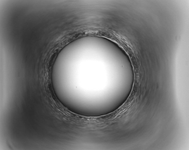X0000096461445200801241108