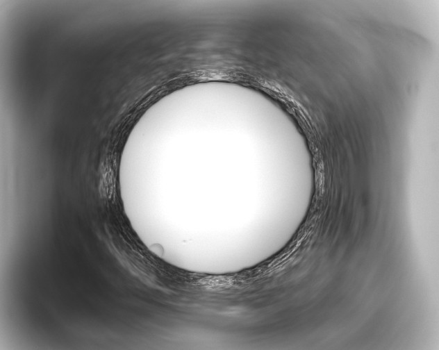 X0000096461446200801241108