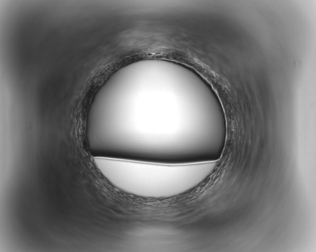 X0000096461447200801241108