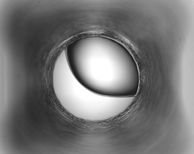 X0000096461448200801241108