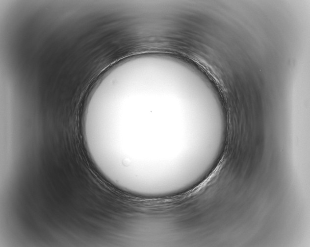 X0000096461449200801241108