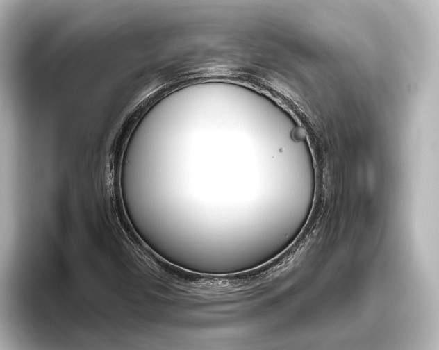 X0000096461450200801241108