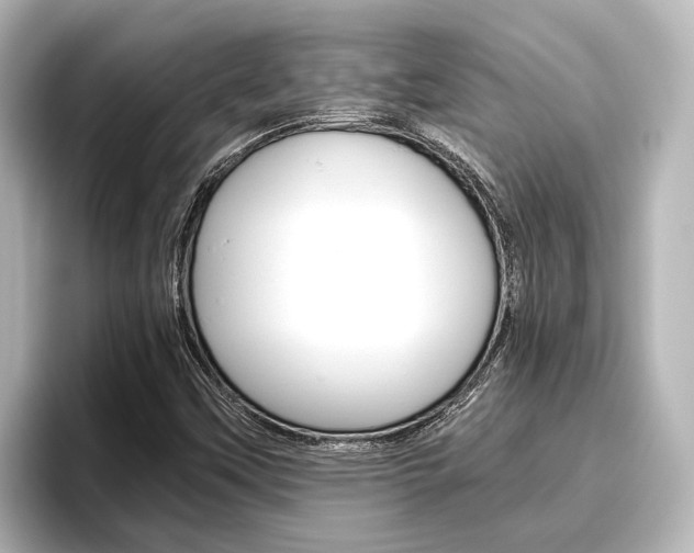 X0000096461451200801241108