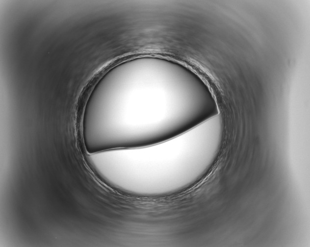 X0000096461452200801241108