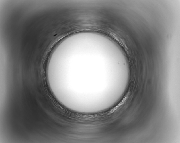 X0000096461453200801241108