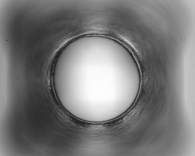 X0000096461455200801241108