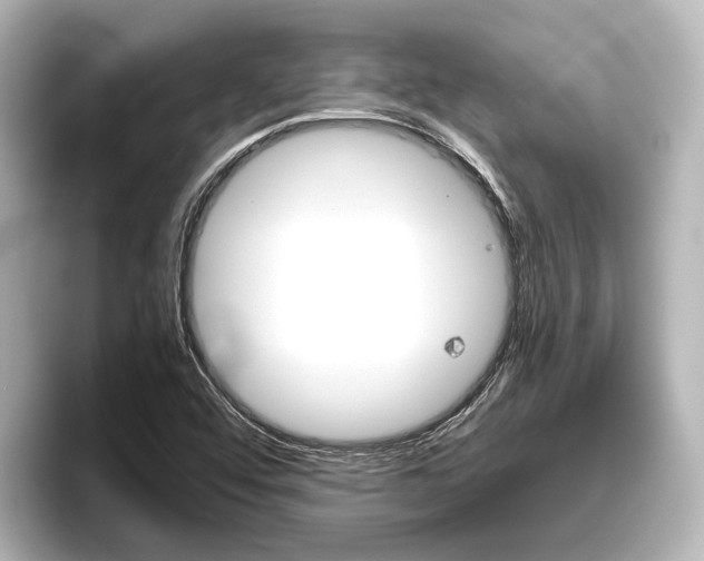X0000096461456200801241108