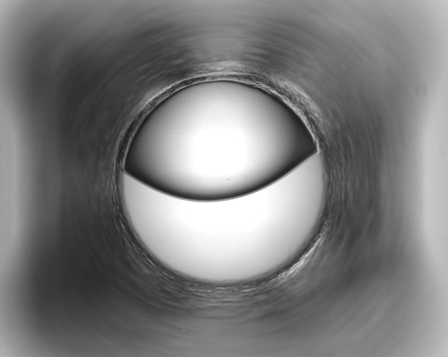 X0000096461457200801241108