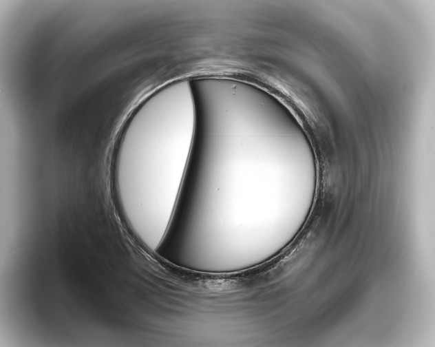 X0000096461459200801241108