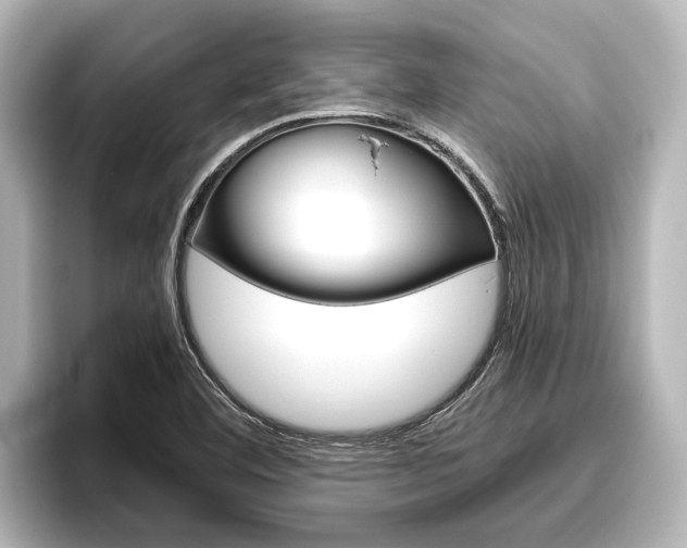 X0000096461460200801241108
