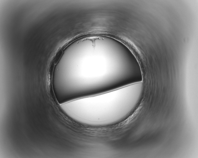 X0000096461461200801241108